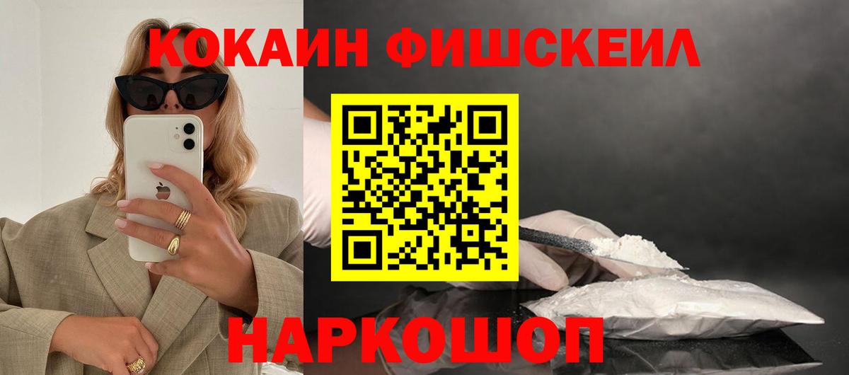 Cocaine Fish Scale  Вход с VPN  купить закладку  Курчатов 