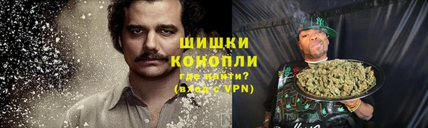 гидра Сафоново