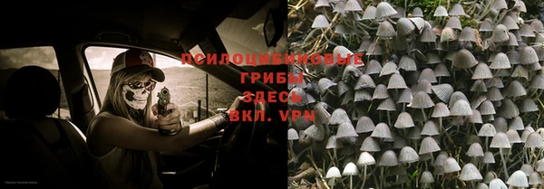 гидра Сафоново
