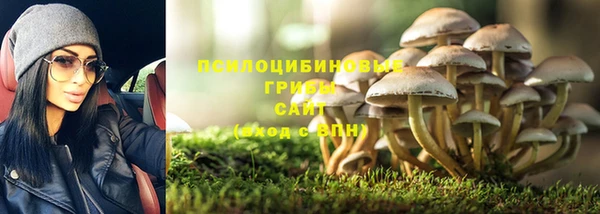 соль ск Саяногорск