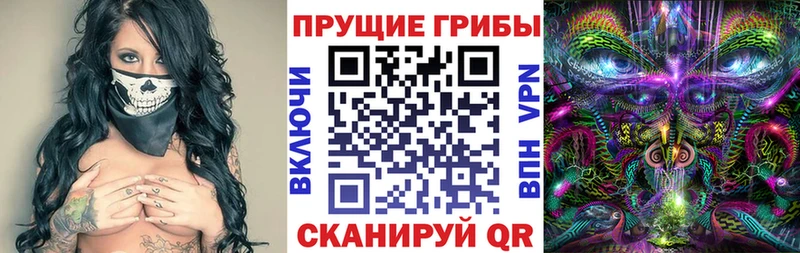Псилоцибиновые грибы мицелий  Курчатов 