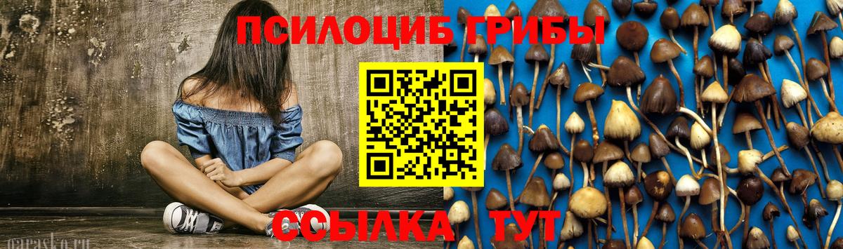 Галлюциногенные грибы Cubensis Курчатов