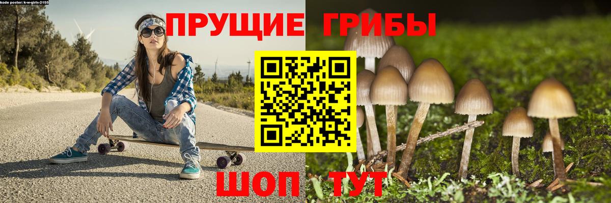 Курчатов  Псилоцибиновые грибы Cubensis  Псилоцибиновые грибы мухоморы  Вход с VPN 